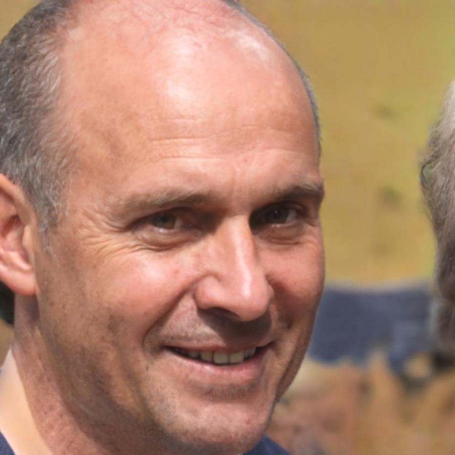 Analista de rendimiento de contenido